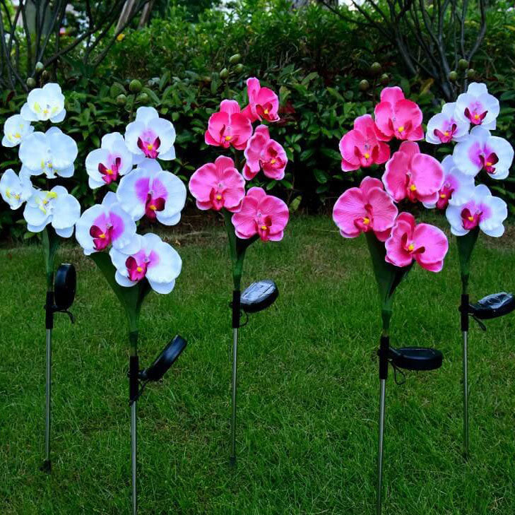 Solar LED Tuinlamp met Zijdeachtige Phalaenopsis Bloemen