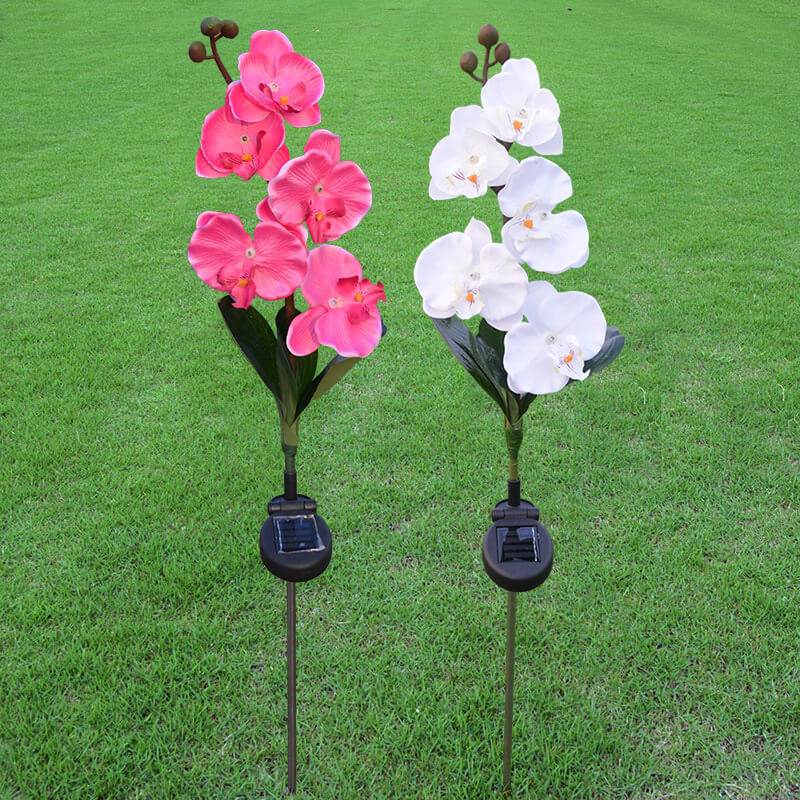 Solar LED Tuinlamp met Zijdeachtige Phalaenopsis Bloemen