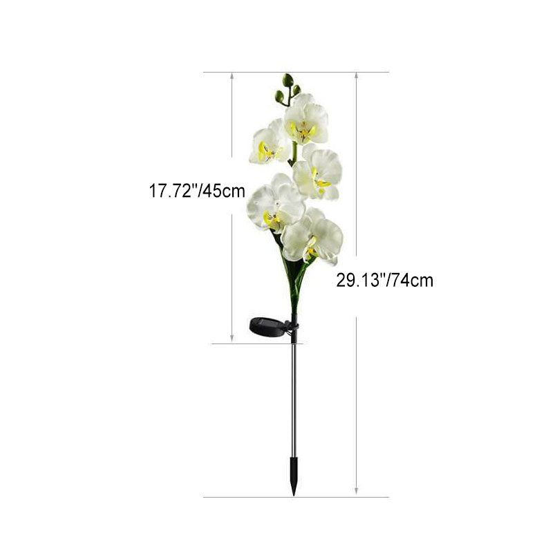 Solar LED Tuinlamp met Zijdeachtige Phalaenopsis Bloemen