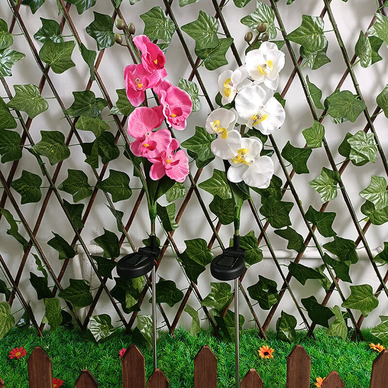 Solar LED Tuinlamp met Zijdeachtige Phalaenopsis Bloemen