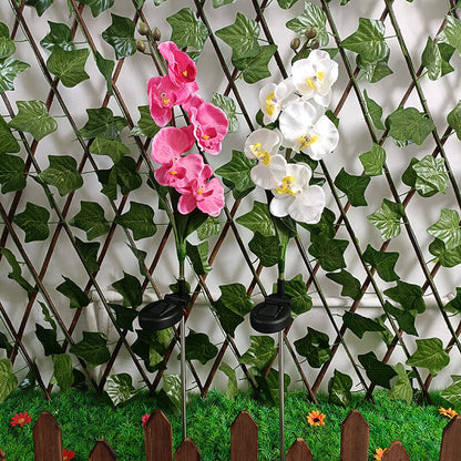 Solar LED Tuinlamp met Zijdeachtige Phalaenopsis Bloemen