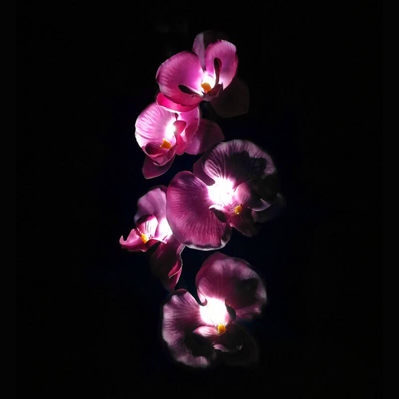 Solar LED Tuinlamp met Zijdeachtige Phalaenopsis Bloemen