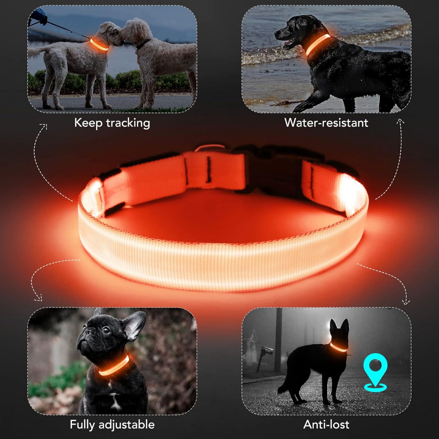 Oplaadbare LED Hondenhalsband met 360° Zichtbaarheid