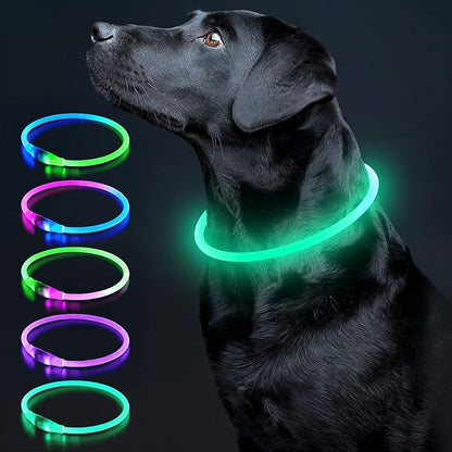 LED-Halsband voor Honden en Katten