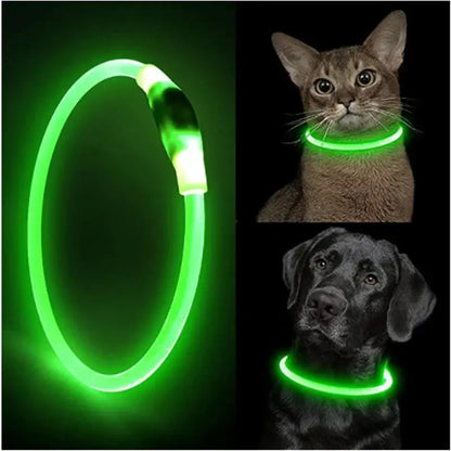 LED-Halsband voor Honden en Katten Homekyn