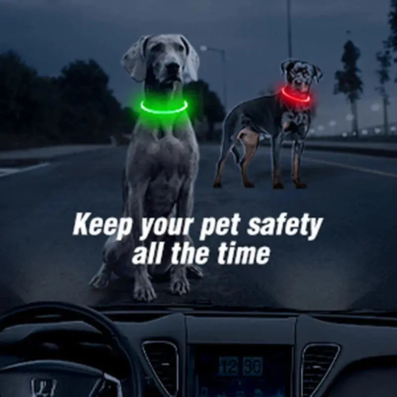 LED-Halsband voor Honden en Katten Homekyn