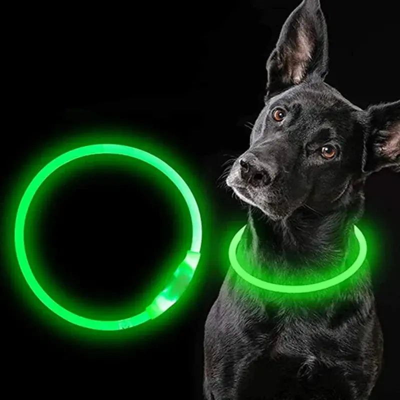 LED-Halsband voor Honden en Katten Homekyn