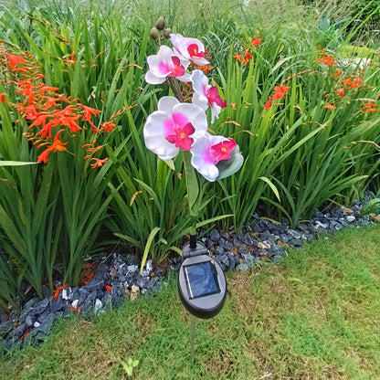 Solar LED Tuinlamp met Zijdeachtige Phalaenopsis Bloemen