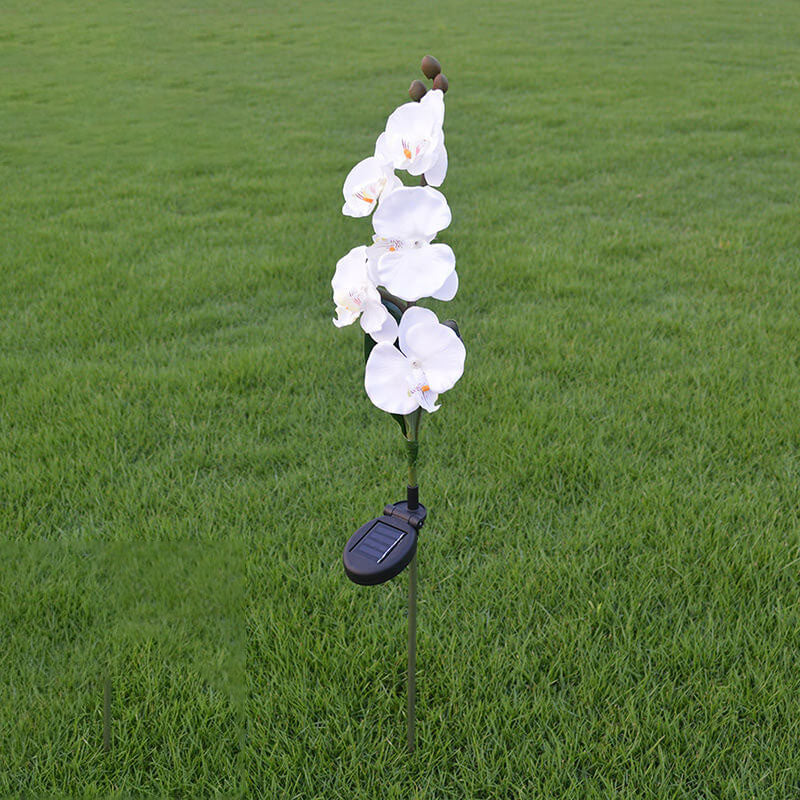 Solar LED Tuinlamp met Zijdeachtige Phalaenopsis Bloemen