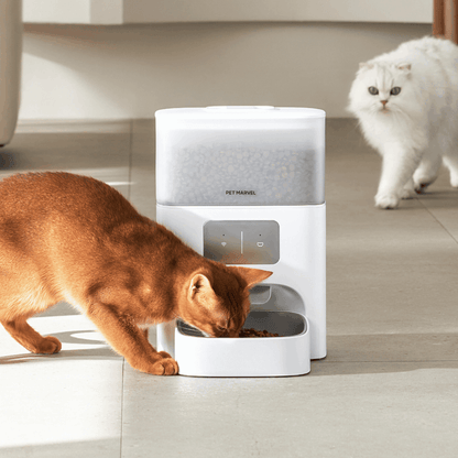 Slimme Automatische Katten Voerbak M3