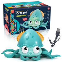 Blauwe Octopus