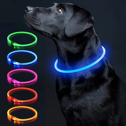 LED-Halsband voor Honden en Katten - 3 Pack