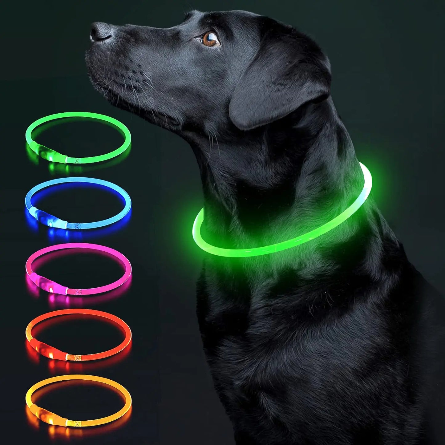 LED-Halsband voor Honden en Katten - 3 Pack