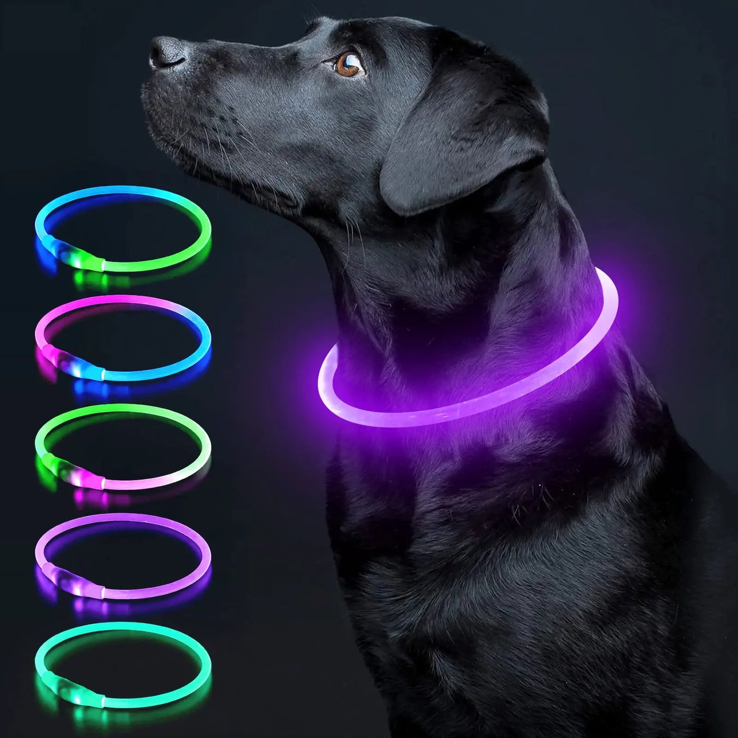 LED-Halsband voor Honden en Katten - 3 Pack