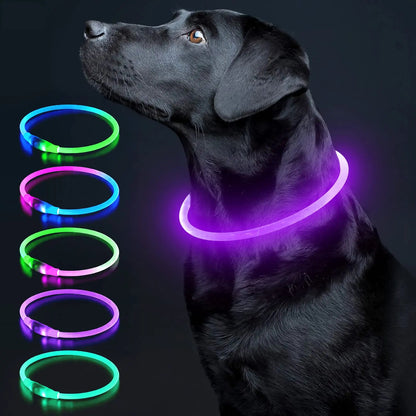 LED-Halsband voor Honden en Katten - 3 Pack