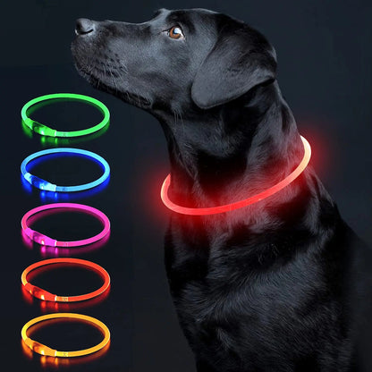 LED-Halsband voor Honden en Katten - 3 Pack