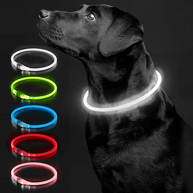 LED-Halsband voor Honden en Katten - 3 Pack