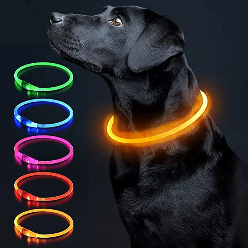 LED-Halsband voor Honden en Katten - 3 Pack